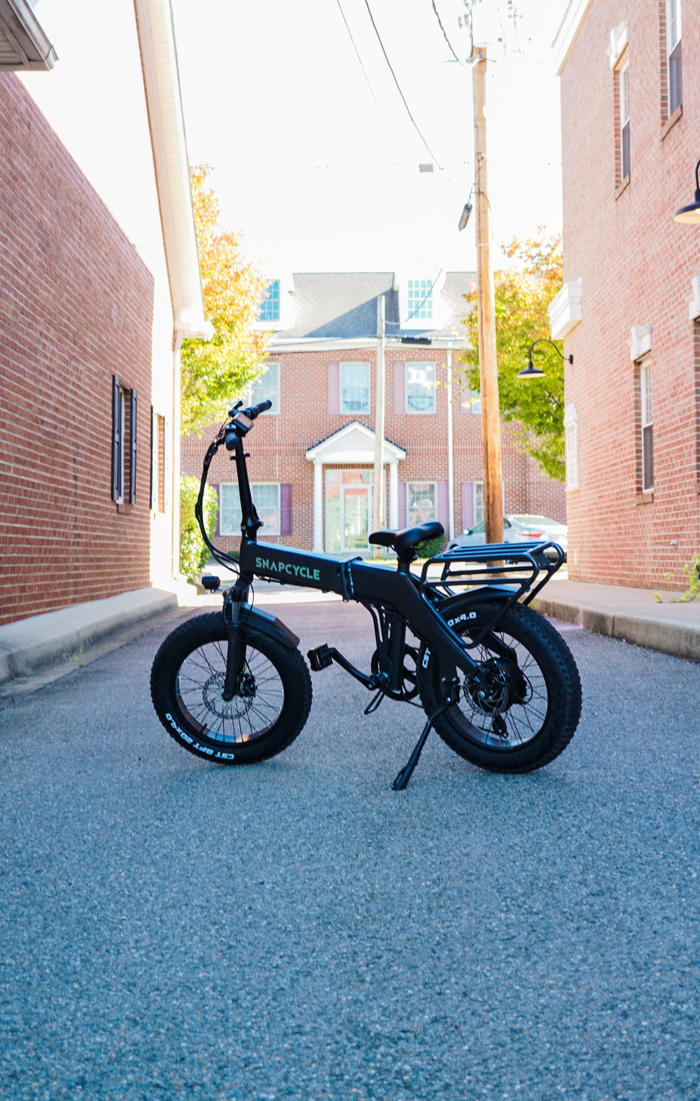 S1 Foldable Electric Bike for Adults, 750W Motor, 48V 15Ah Battery, 20"x4.0" Fat Tires, 7-Speed, Dual Suspension, Compact Folding E-Bike