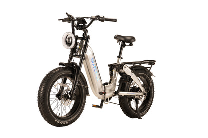 UGBEST Storm Electric Bike for Adults, 750W Motor, 48V 15Ah Samsung Battery, 20"x4.0" Fat Tires, Shimano 7-Speed, Dual Suspension, Removable Battery E-Bike for All-Terrain Riding