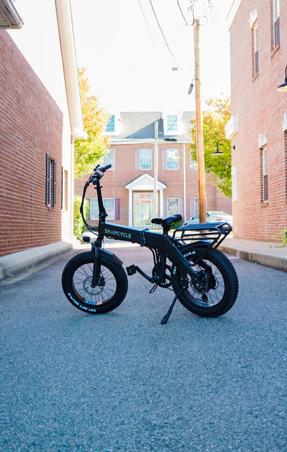 S1 Foldable Electric Bike for Adults, 750W Motor, 48V 15Ah Battery, 20"x4.0" Fat Tires, 7-Speed, Dual Suspension, Compact Folding E-Bike