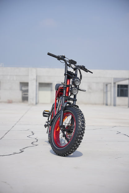 Enffe Electric Bike for Adults, 750W Motor 48V, 22.5Ah Lithium Battery, Up to 30MPH & 75-Mile Range, Fat Tire All-Terrain E-Bike for Commuting or Off-Road