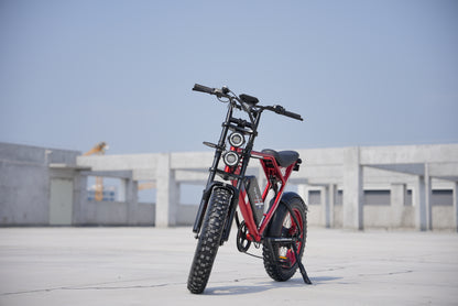 Enffe Electric Bike for Adults, 750W Motor 48V, 22.5Ah Lithium Battery, Up to 30MPH & 75-Mile Range, Fat Tire All-Terrain E-Bike for Commuting or Off-Road