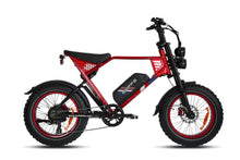 Enffe Electric Bike for Adults, 750W Motor 48V, 22.5Ah Lithium Battery, Up to 30MPH & 75-Mile Range, Fat Tire All-Terrain E-Bike for Commuting or Off-Road